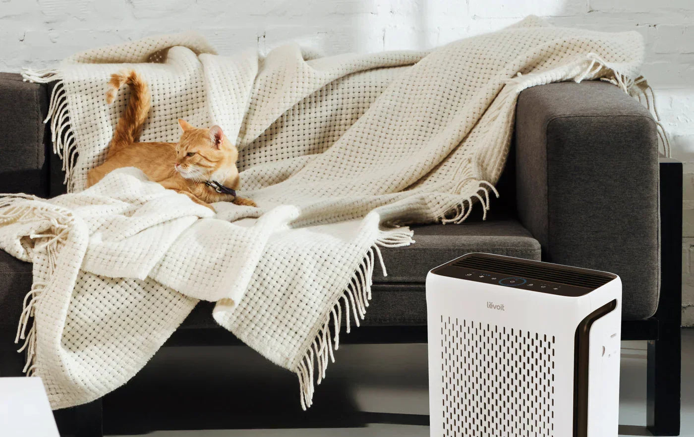 5 raisons pour lesquelles les propriétaires d'animaux devraient envisager un purificateur d'air