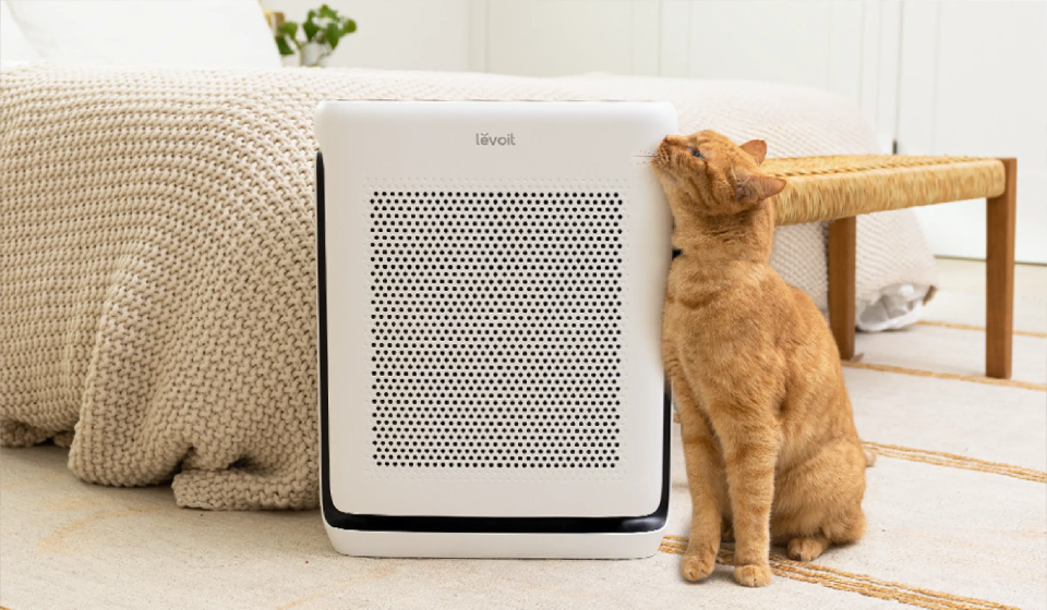 Les meilleurs purificateurs d’air Levoit pour les animaux en 2026
