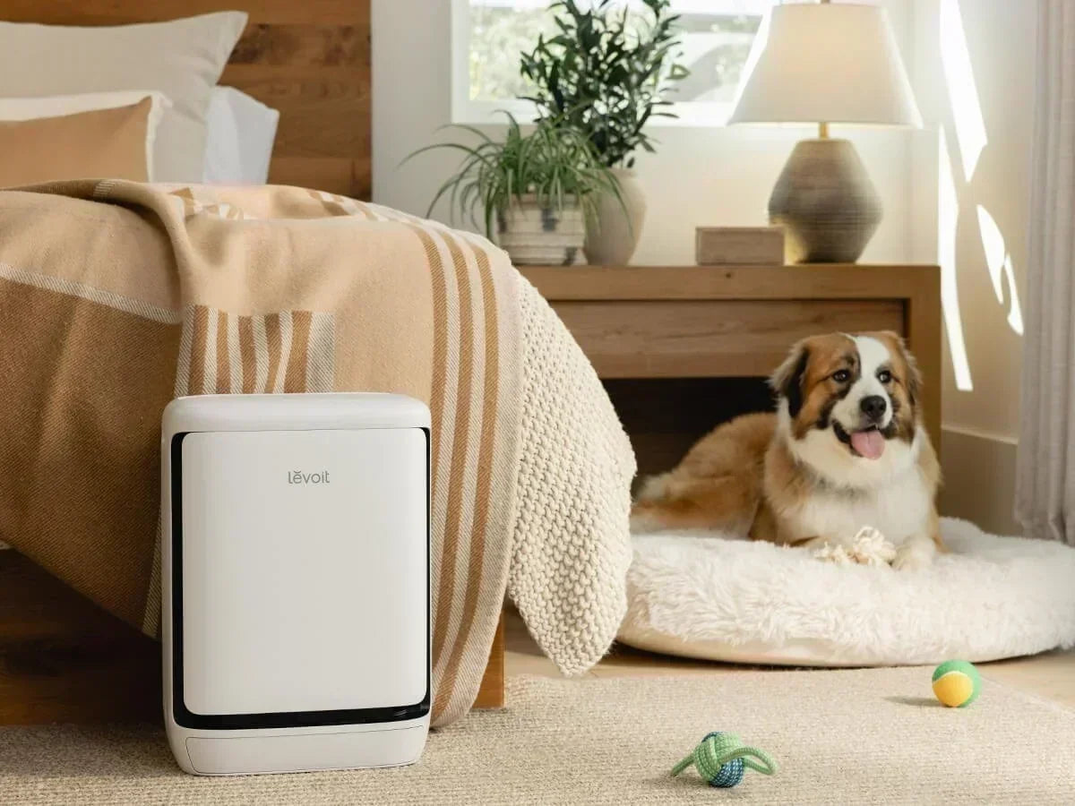 éliminer odeur animaux-Levoit Purificateur d’air
