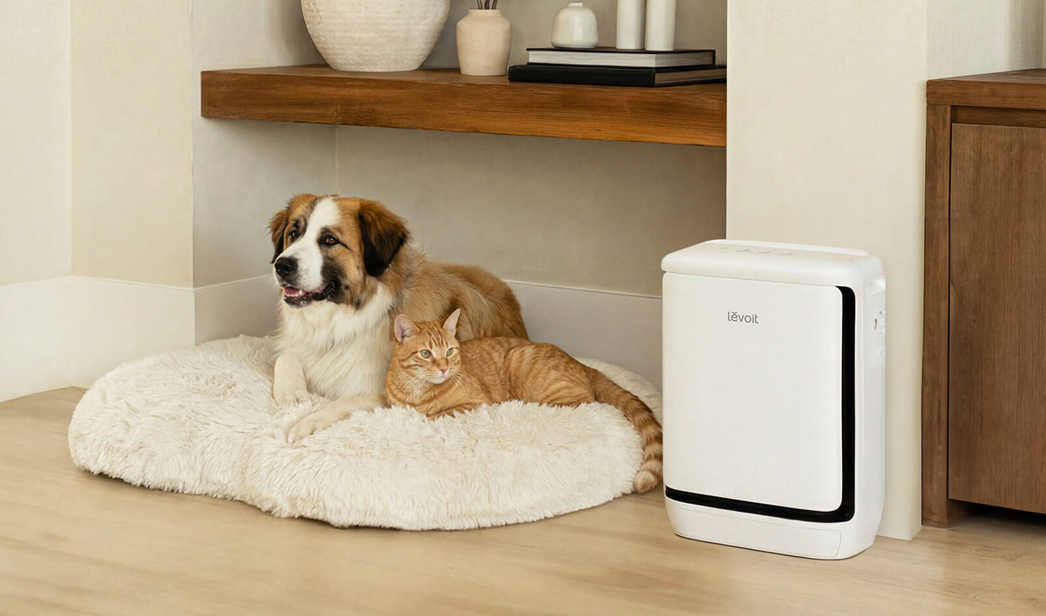 Le guide ultime des purificateurs d’air pour lutter contre les allergènes d’origine animale