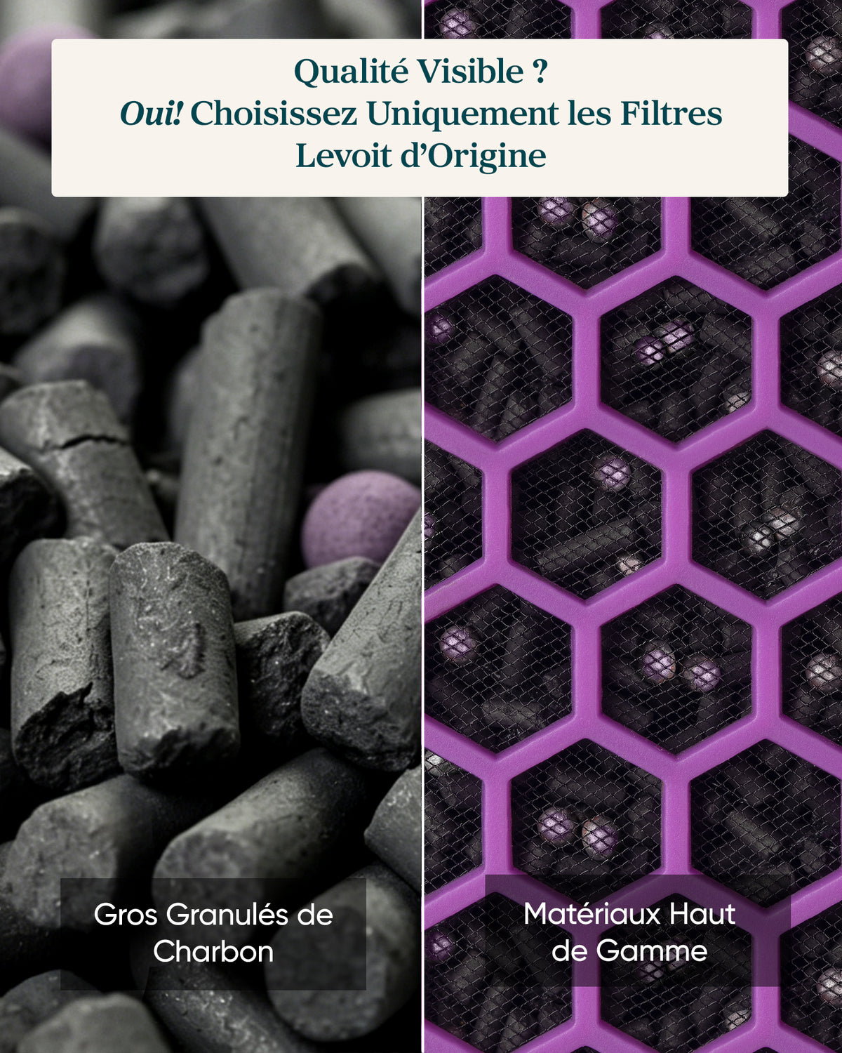 Levoit Filtre Charbon Actif Eleva 300X – Fumée & Cuisine