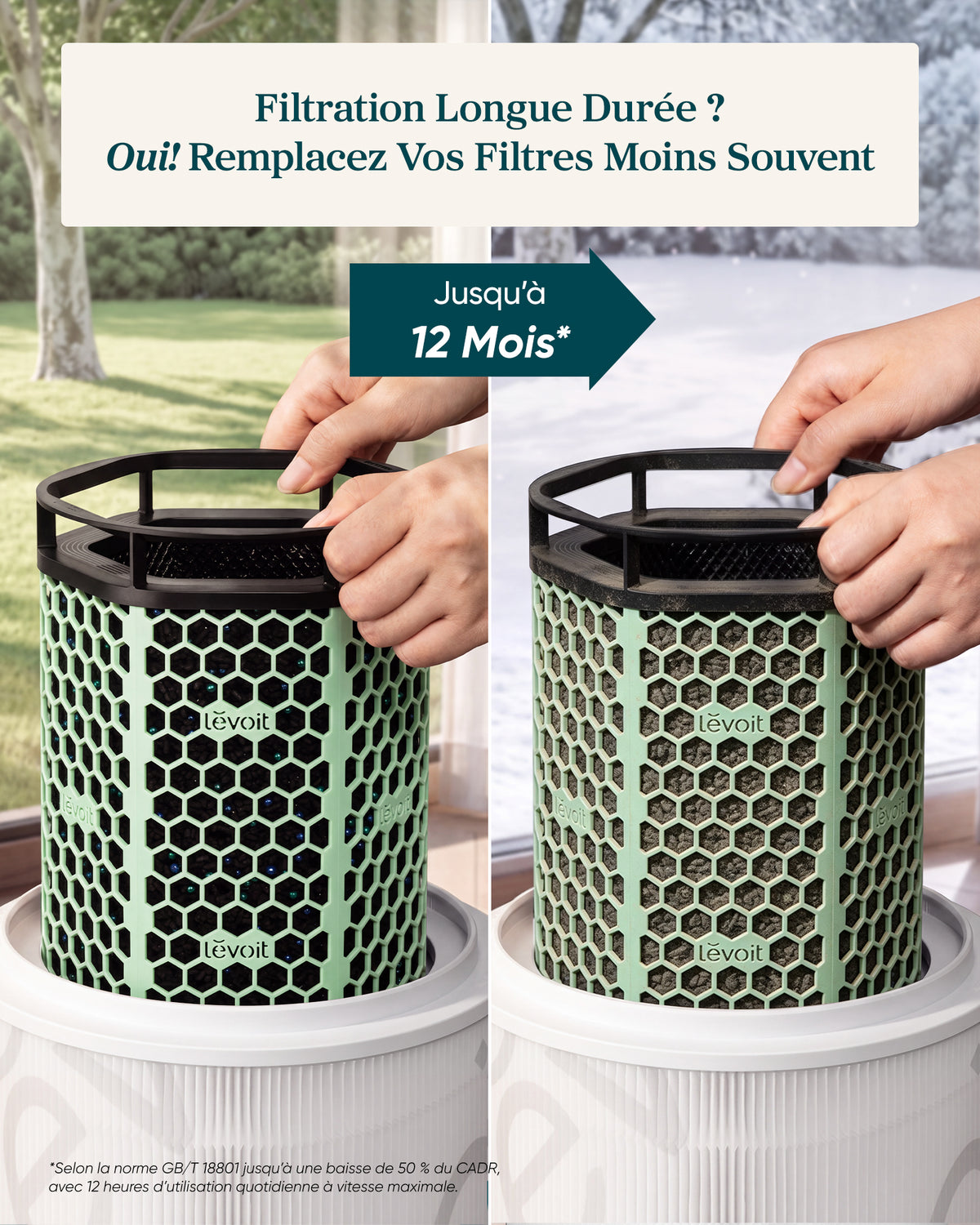 Levoit Filtre Charbon Actif pour purificateur d'air Eleva 300X (Animaux)
