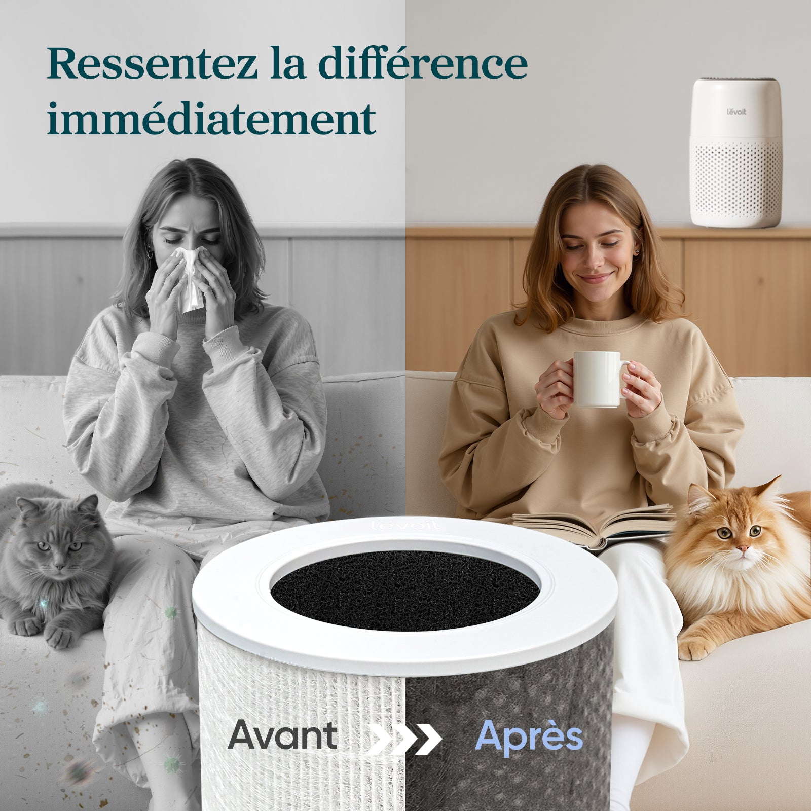 Levoit purificateur d'air Core Mini