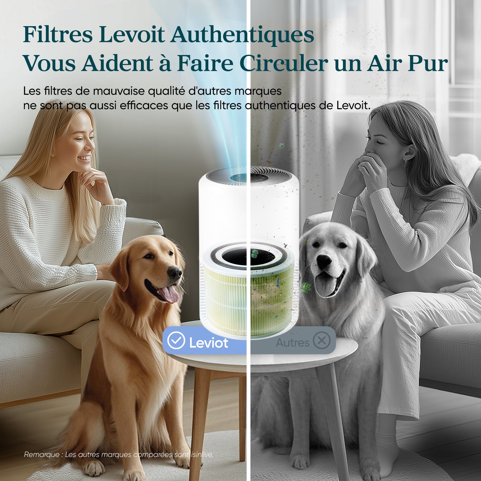 Filtre de remplacement anti-poils pour purificateur d'air Levoit Core 300