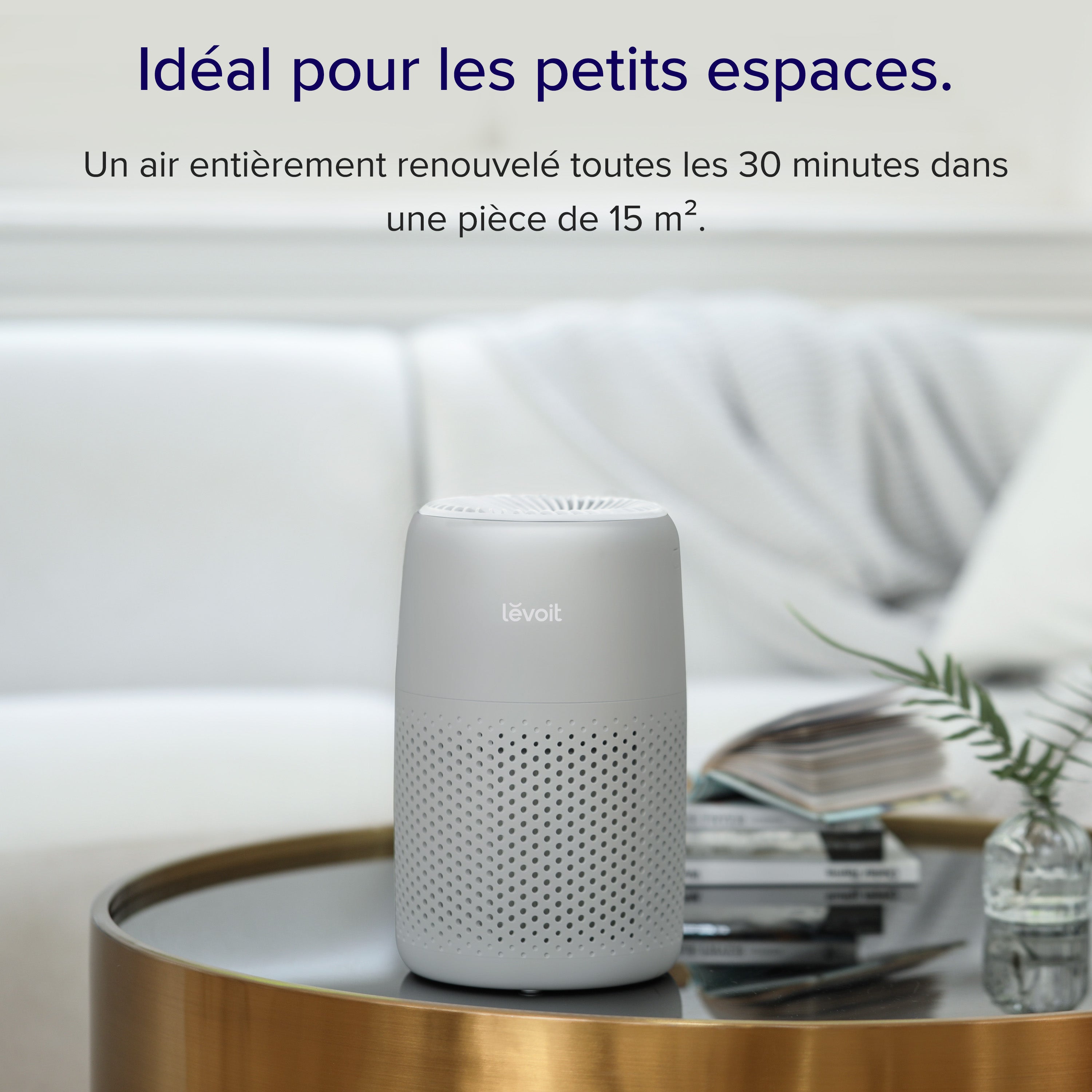 Levoit purificateur d'air Core mini pro