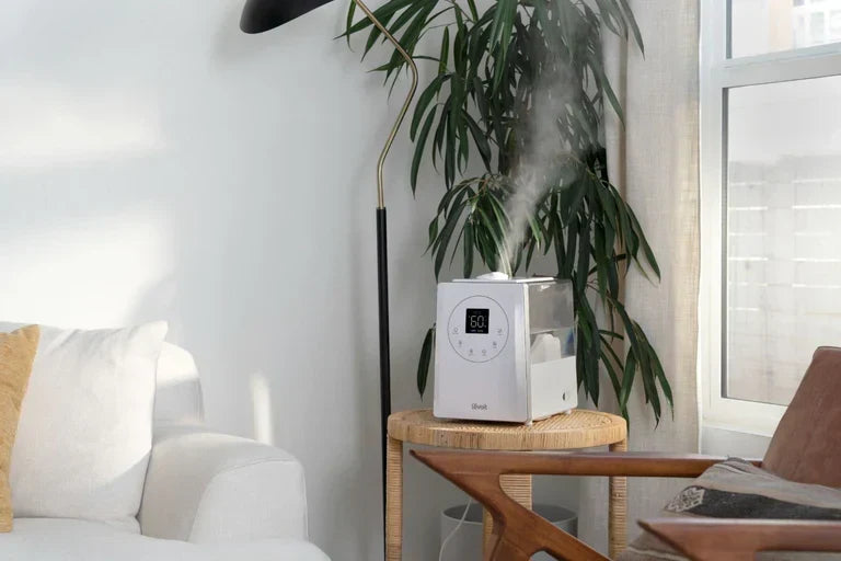 Les humidificateurs Levoit les plus faciles à nettoyer