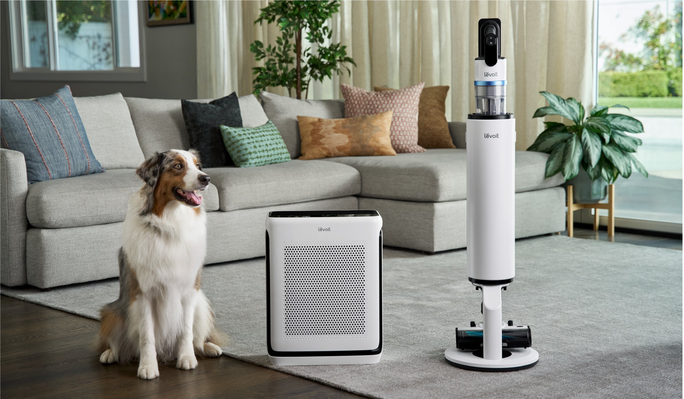 Aspirateur et purificateur d’air Levoit pour les poils d’animaux et les allergènes