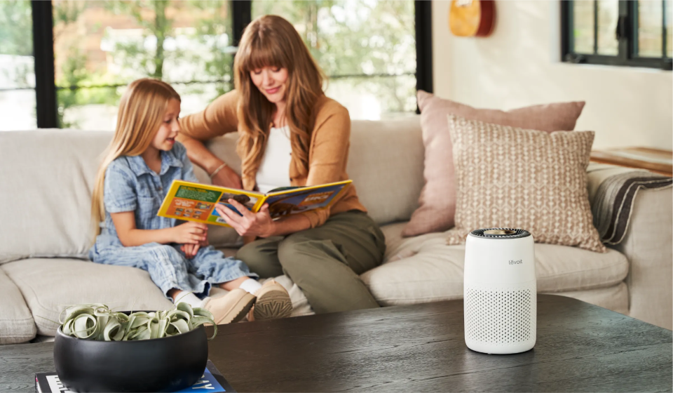 purificateur d'air allergie-Levoit