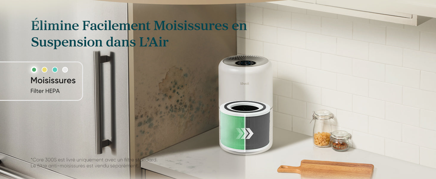 Purificateur d'air Levoit Core 300S avec filtre HEPA pour éliminer les moisissures en suspension dans l'air, avec un mur de moisissures visible à l'arrière.