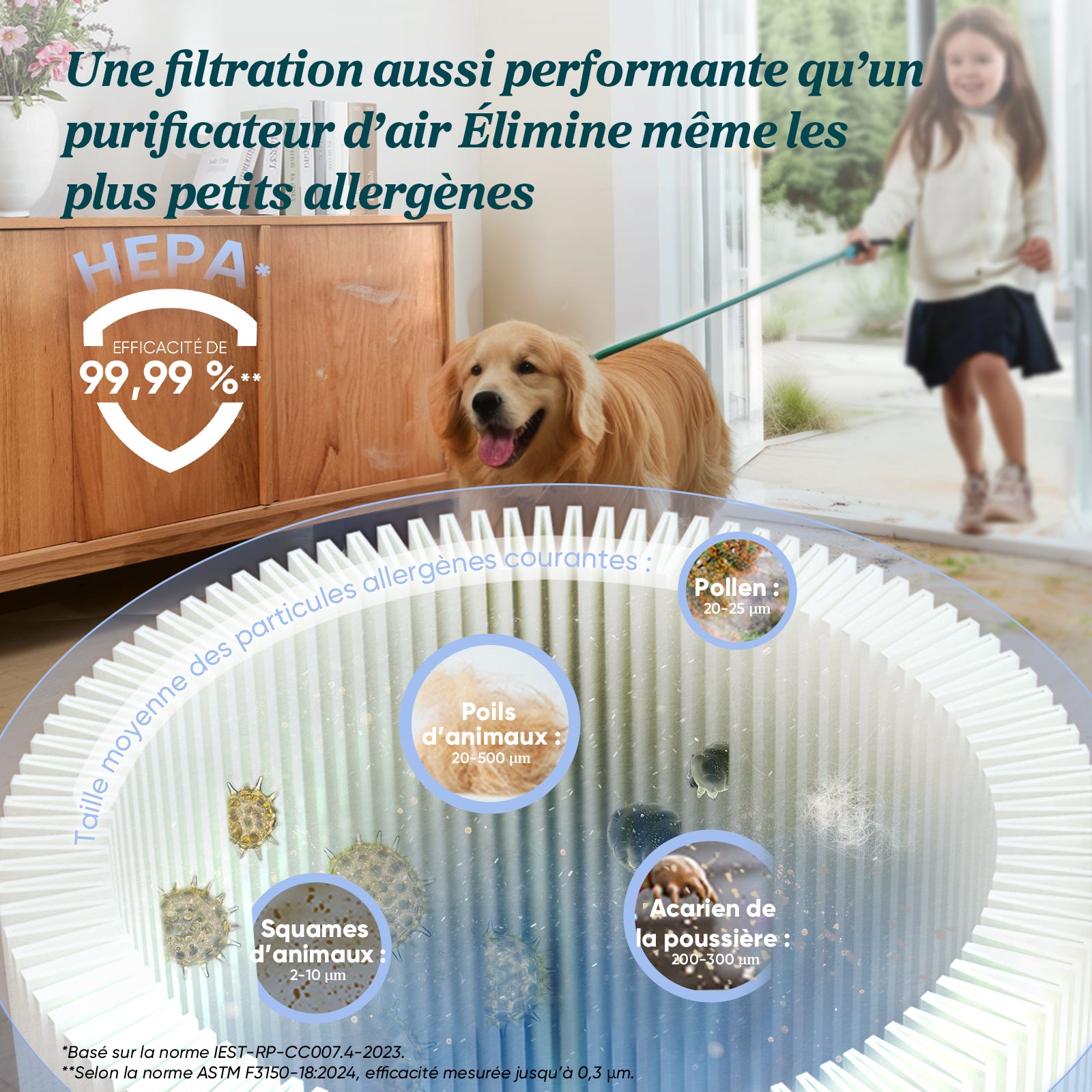 Levoit SDC01 Aspirateur Sans Fil Anti-Enchevêtrement, Noir & Blanc
