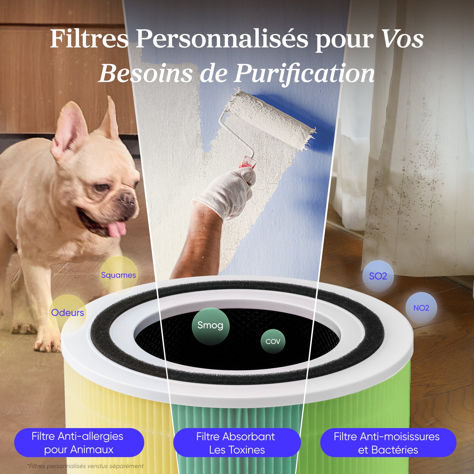 Levoit purificateur d'air avec filtres personnalisés pour animaux, moisissures, toxines et smog, offrant une purification ciblée.