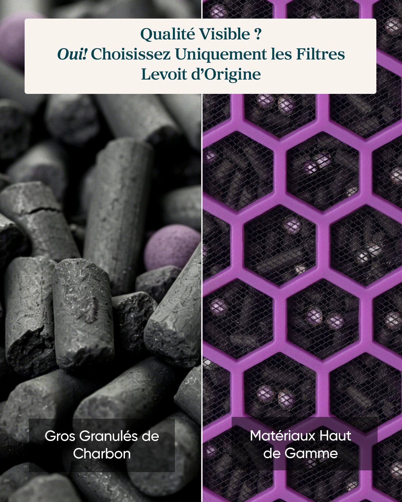 Levoit Filtre Charbon Actif Eleva 300X – Fumée & Cuisine