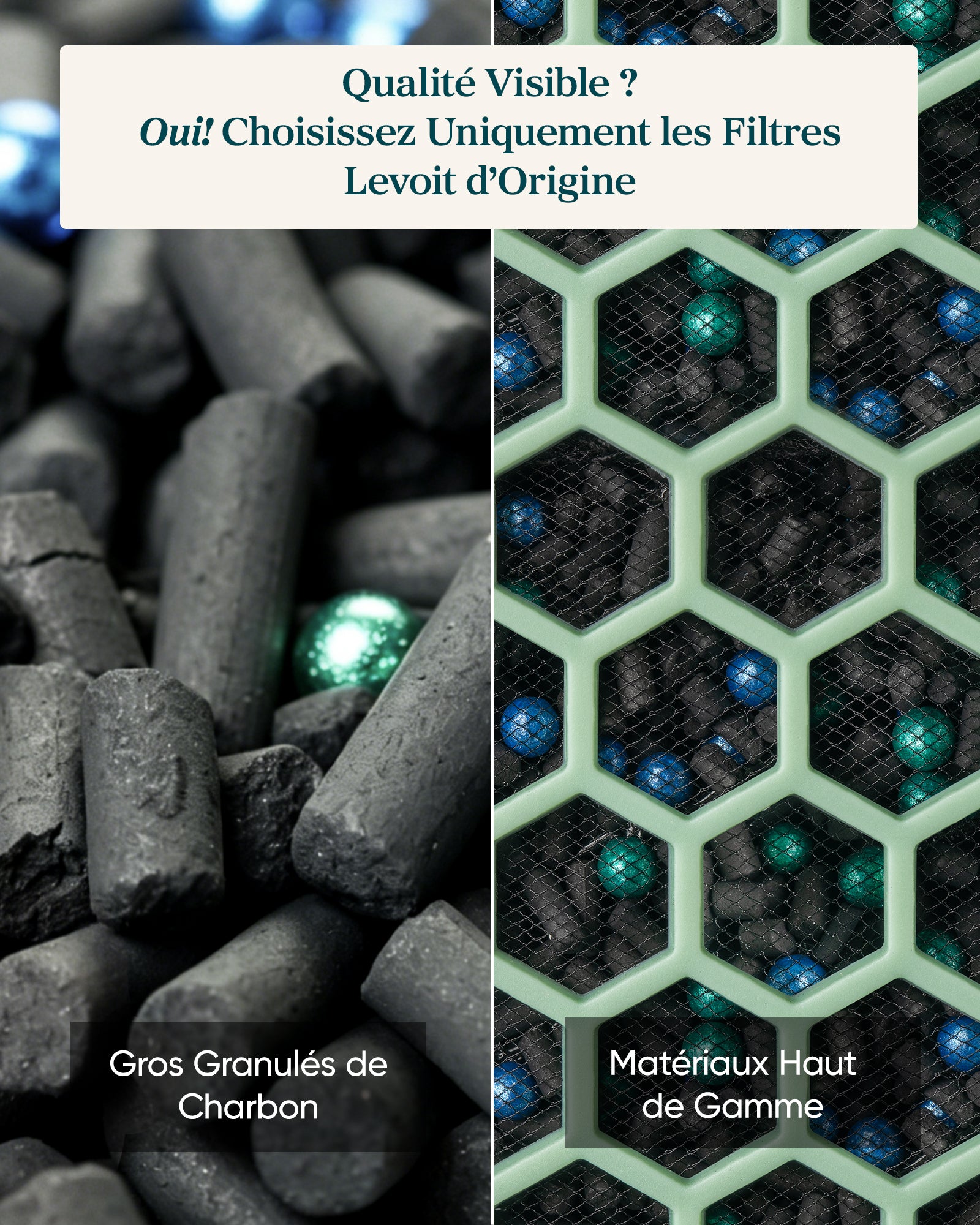 Levoit Filtre Charbon Actif pour purificateur d'air Eleva 300X (Animaux)