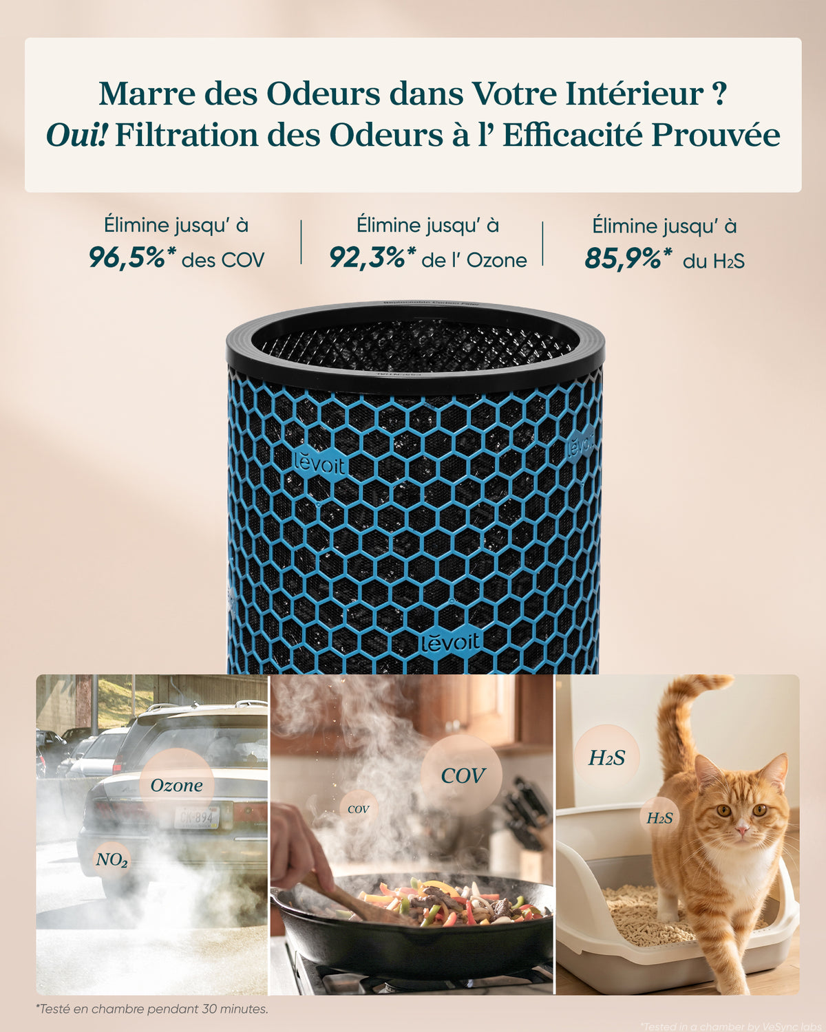 Levoit Filtre Charbon Actif Eleva 300X – Essentiel