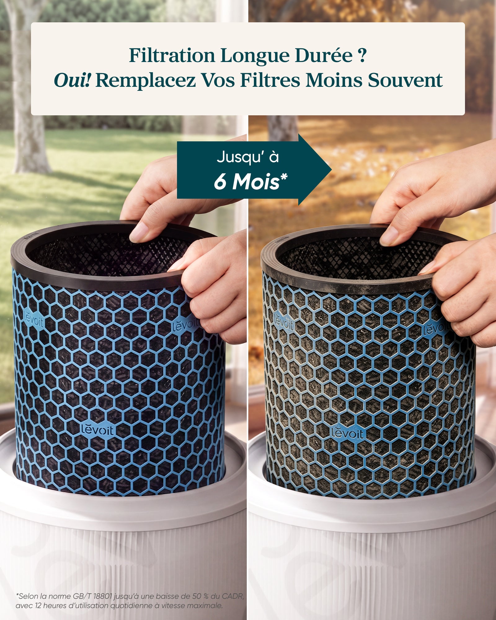 Levoit Filtre Charbon Actif Eleva 300X – Essentiel