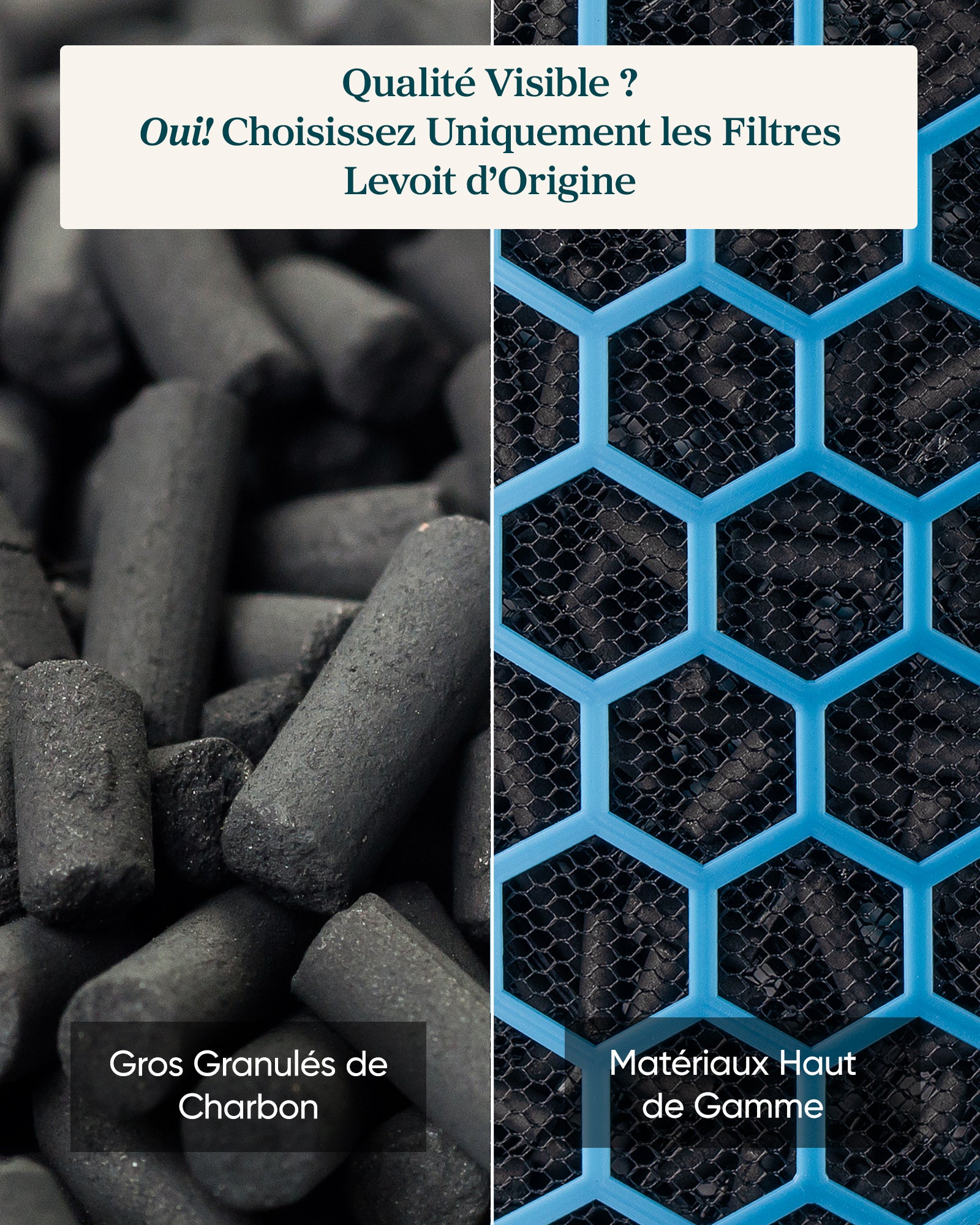 Levoit Filtre Charbon Actif Eleva 300X – Essentiel