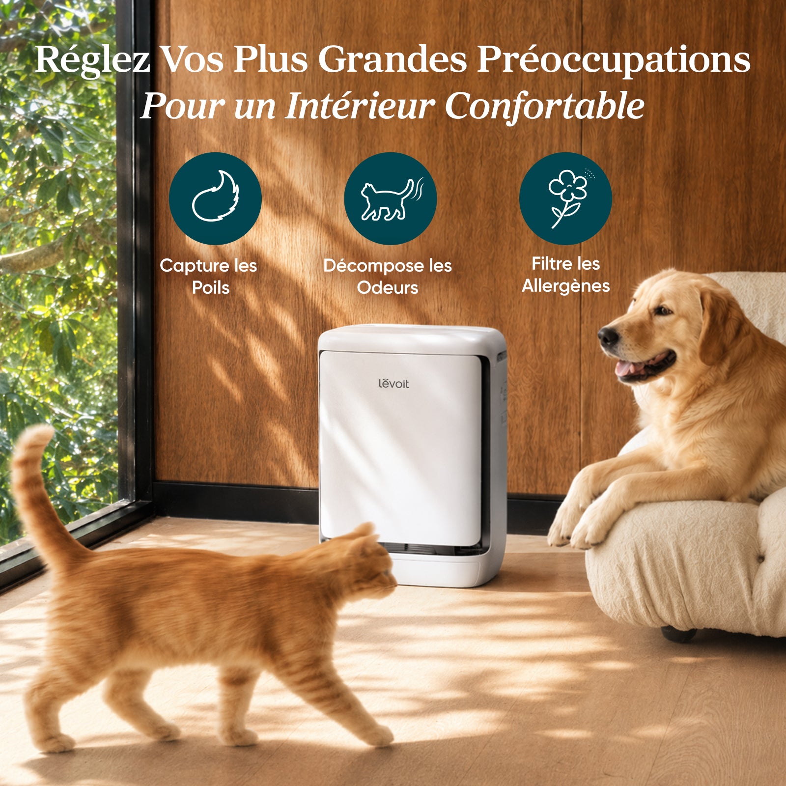 Levoit Vital® Pet Pro Purificateur d'Air pour Animaux