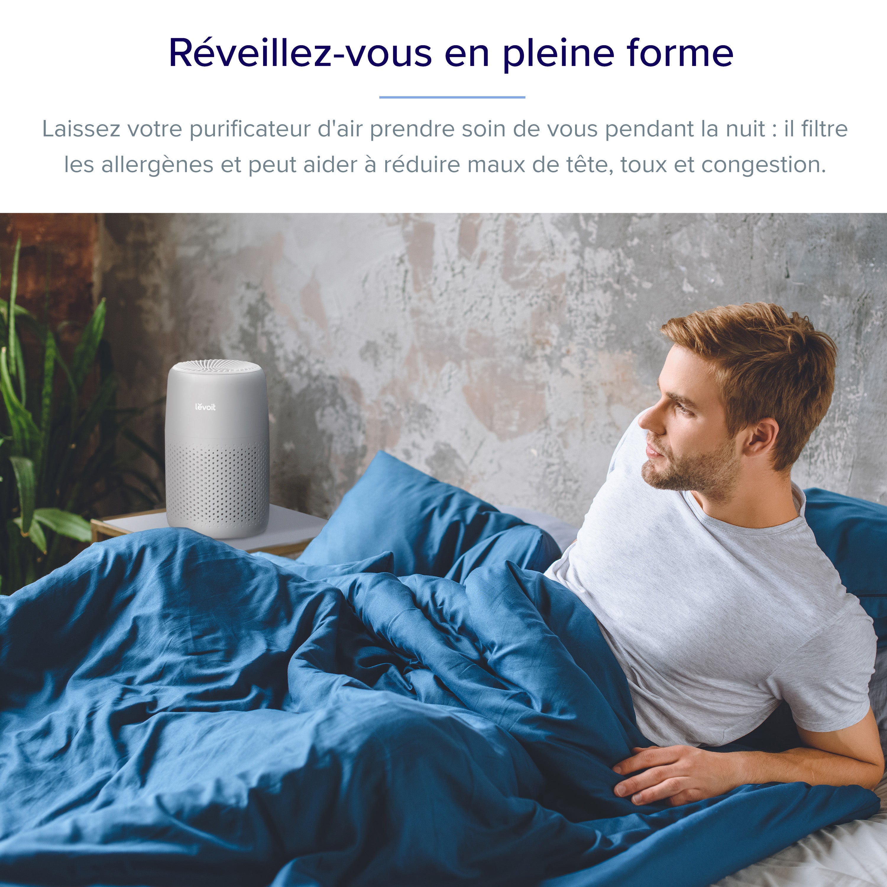 Levoit purificateur d'air Core mini pro