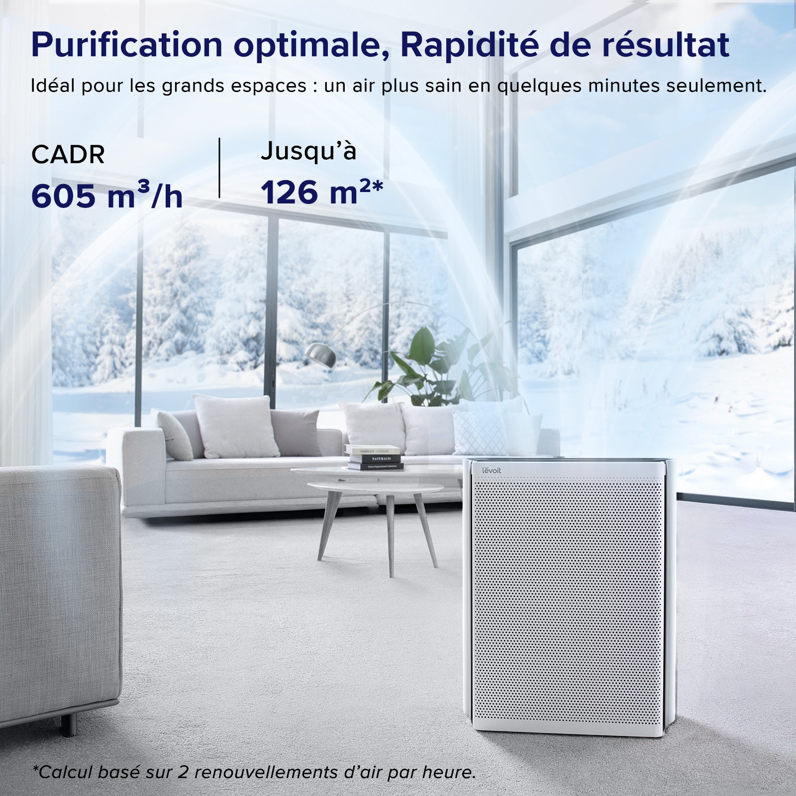 Levoit purificateur d'air EverestAir