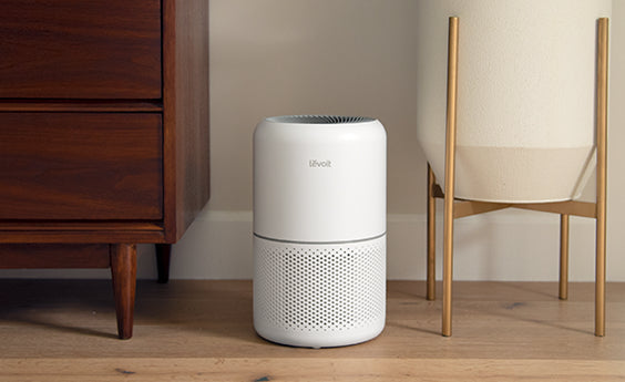 Levoit luftreiniger bei schimmel