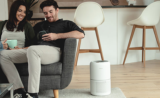 Levoit  luftreiniger büro