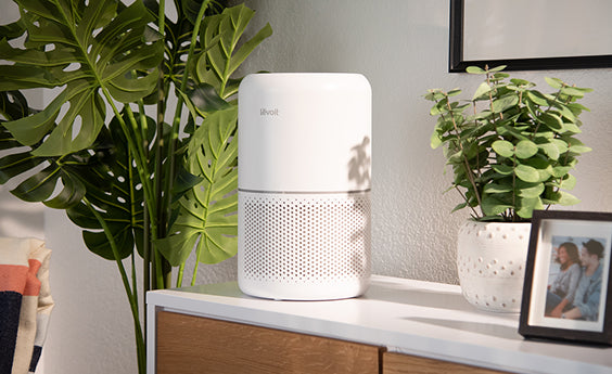 Levoit luftreiniger für allergiker