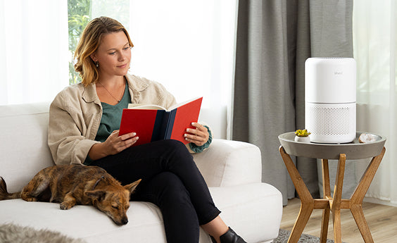 Levoit luftreiniger tierhaare