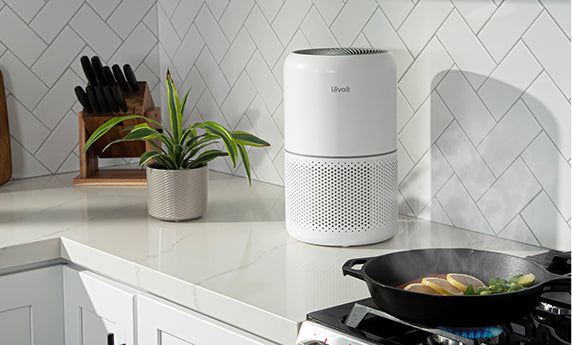 Levoit luftreiniger gegen gerüche