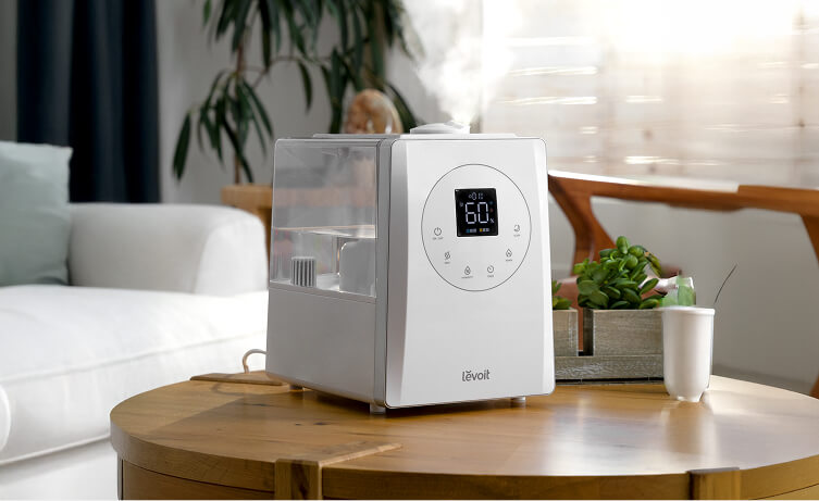 Levoit luftbefeuchter große räume