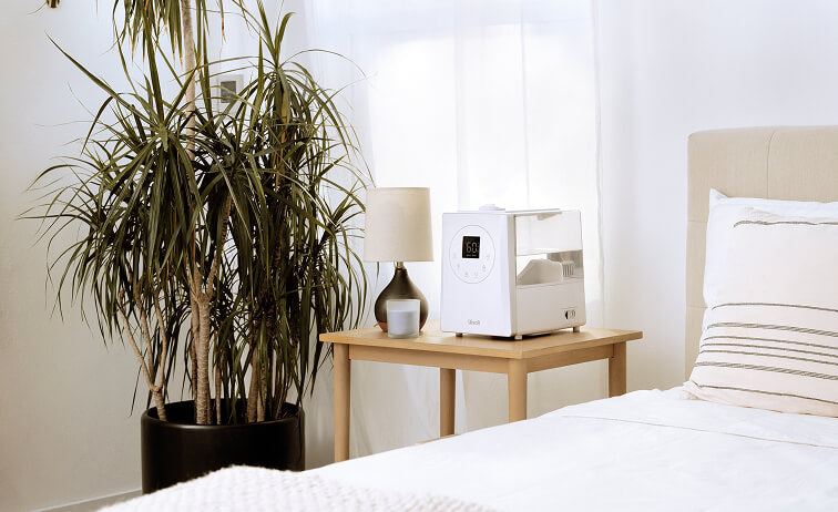 Levoit luftbefeuchter für schlafzimmer